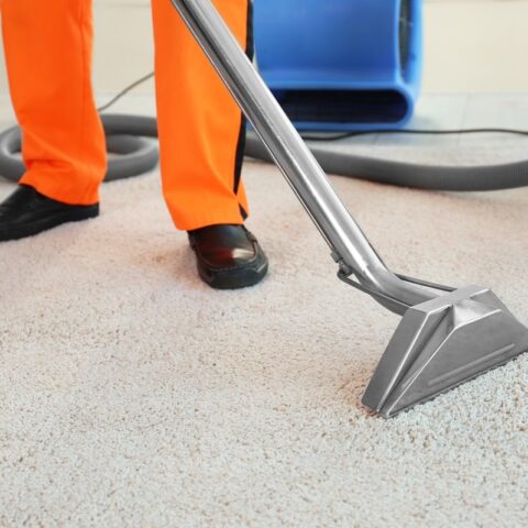 carpet-cleaning